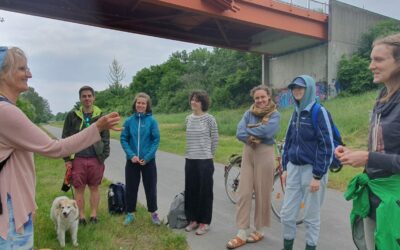 Herbal Hike in Wien