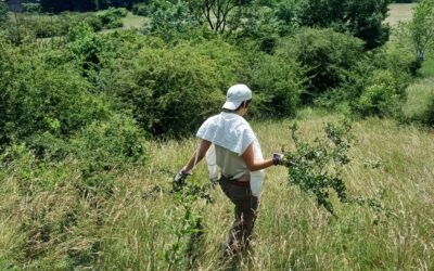 Das waren die Nature Days – 06.-07.06.2025