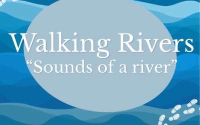 🌊 Stimme des Flusses – eine aktivistische Wanderung 16.05.2026